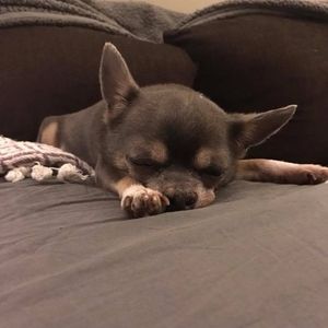 Meet your Posher, Lynn